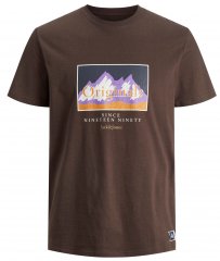 Jack & Jones JORWOODLANDGRAPHIC T-Shirt Seal Brown