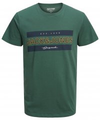 Jack & Jones JORFRIDAY T-Shirt Green