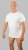 20 Nodi Mezzogiorno Sports T-Shirt White - Trička - Trička nadměrné velikosti - 2XL-14XL