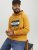 Jack & Jones Codyy Hoodie Yellow - Mikiny & mikiny s kapucí - Mikiny & Mikiny s kapucí 2XL-12XL
