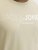 Jack & Jones Blaneo Short Sleeve T-shirt Beige - Trička - Trička nadměrné velikosti - 2XL-14XL