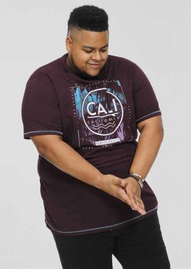 D555 NOVA Cali Surf Printed Crew Neck T-Shirt Plum - Trička - Trička nadměrné velikosti - 2XL-14XL