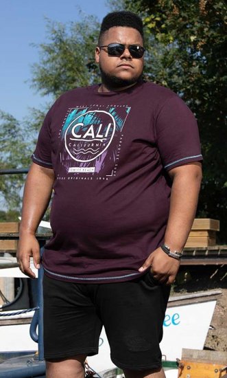 D555 NOVA Cali Surf Printed Crew Neck T-Shirt Plum - Trička - Trička nadměrné velikosti - 2XL-14XL