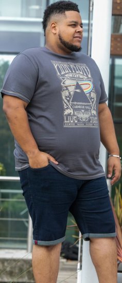 D555 HANLEY Official Pink Floyd Crew Neck T-Shirt Dark Grey TALL SIZES - PÁNSKÉ OBLEČENÍ MT-6XLT - TALL-velikosti
