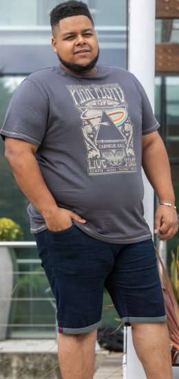 D555 HANLEY Official Pink Floyd Crew Neck T-Shirt Dark Grey TALL SIZES - PÁNSKÉ OBLEČENÍ MT-6XLT - TALL-velikosti