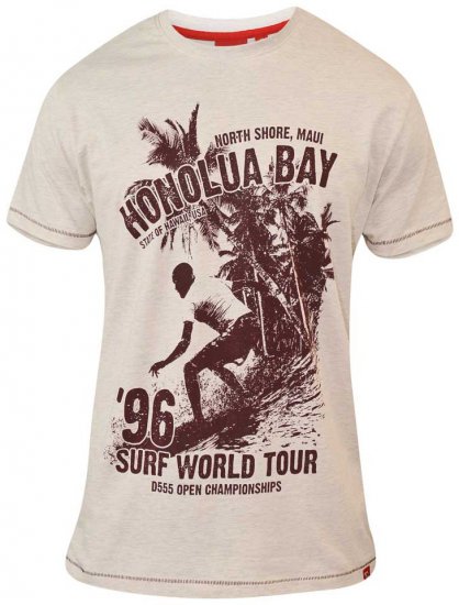 D555 CLAYTON Honolua Bay T-shirt White Marl - Trička - Trička nadměrné velikosti - 2XL-14XL