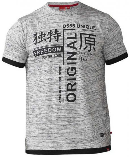 D555 Harold T-shirt Grey - Trička - Trička nadměrné velikosti - 2XL-14XL