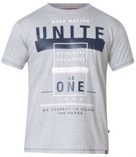 D555 Phillip T-shirt Grey - Trička - Trička nadměrné velikosti - 2XL-14XL