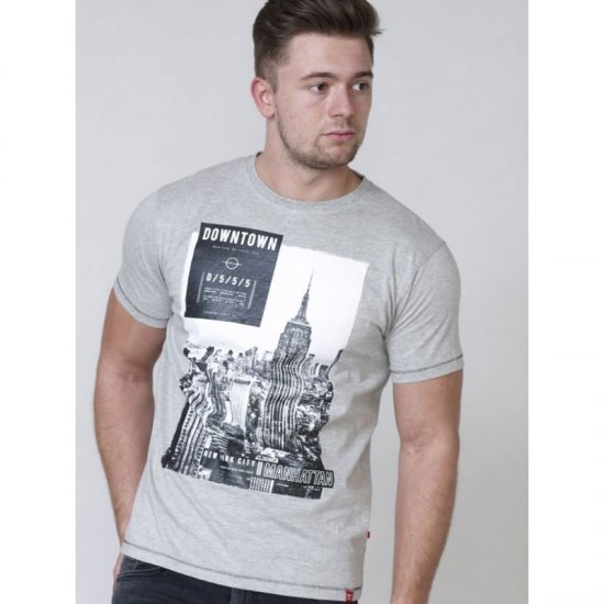 D555 Clive T-shirt Grey - Trička - Trička nadměrné velikosti - 2XL-14XL