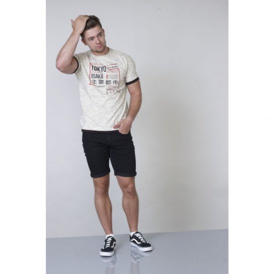 D555 Merlin T-shirt Grey - Trička - Trička nadměrné velikosti - 2XL-14XL