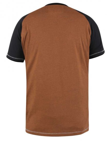 D555 Charmouth Raglan Sleeve Printed T-Shirt - Trička - Trička nadměrné velikosti - 2XL-14XL