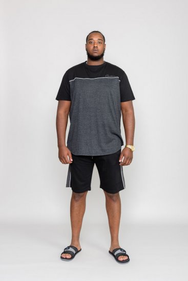 D555 NEWBURY T-Shirt - Trička - Trička nadměrné velikosti - 2XL-14XL