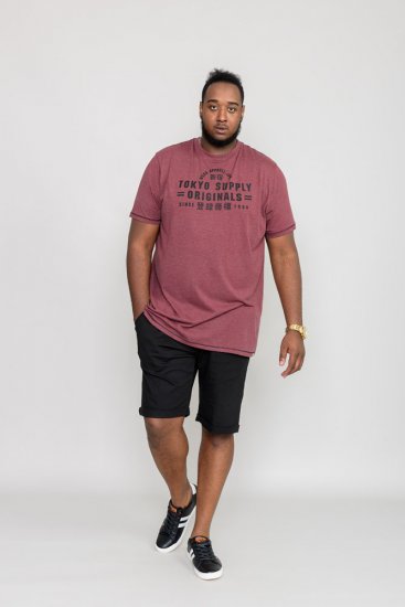 D555 LINTON Printed T-Shirt - Trička - Trička nadměrné velikosti - 2XL-14XL