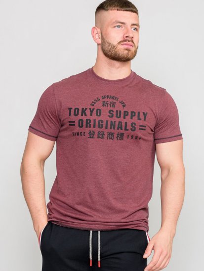 D555 LINTON Printed T-Shirt - Trička - Trička nadměrné velikosti - 2XL-14XL