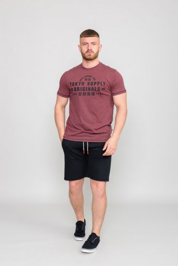 D555 LINTON Printed T-Shirt - Trička - Trička nadměrné velikosti - 2XL-14XL