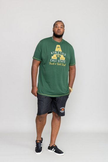 D555 TOVIL Printed T-Shirt - Trička - Trička nadměrné velikosti - 2XL-14XL