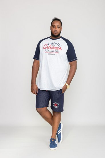 D555 SPARROW Printed T-Shirt - Trička - Trička nadměrné velikosti - 2XL-14XL