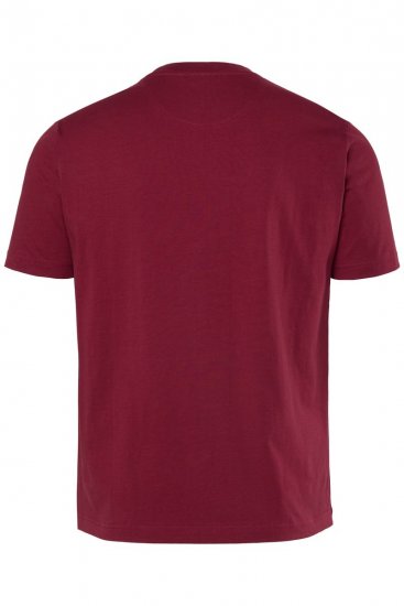 Men+ 219 Tričko Palmy Měděně hnědá - Trička - Trička nadměrné velikosti - 2XL-14XL