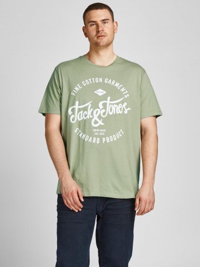 Jack & Jones JJERAFA TEE Light Green - Trička - Trička nadměrné velikosti - 2XL-14XL
