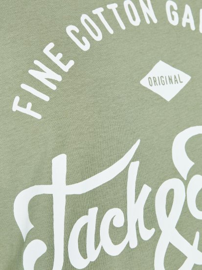 Jack & Jones JJERAFA TEE Light Green - Trička - Trička nadměrné velikosti - 2XL-14XL