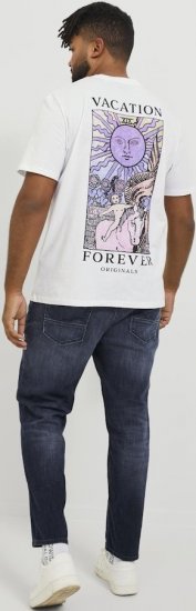 Jack & Jones GLENN FOX GE 224 Jeans Blue Denim - Džíny & kalhoty - Džíny a Kalhoty - W40-W70