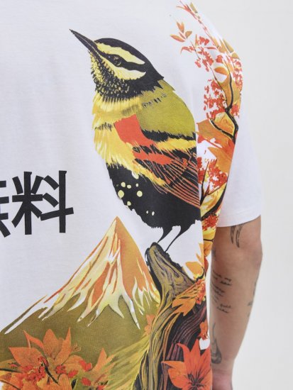 Jack & Jones Fuji Crew Neck T-Shirt Bright White - Trička - Trička nadměrné velikosti - 2XL-14XL