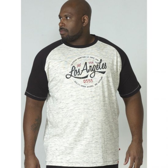 D555 Judson T-shirt Grey - Trička - Trička nadměrné velikosti - 2XL-14XL