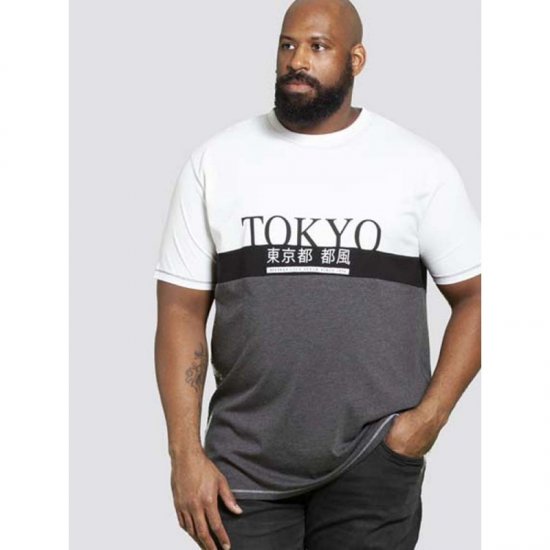 D555 Morris T-shirt Charcoal - Trička - Trička nadměrné velikosti - 2XL-14XL