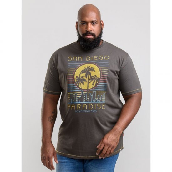 D555 Stanley T-shirt Khaki - Trička - Trička nadměrné velikosti - 2XL-14XL