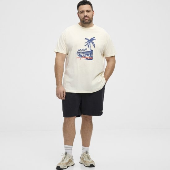North Latitude T-Shirt Printed Off-White - Trička - Trička nadměrné velikosti - 2XL-14XL
