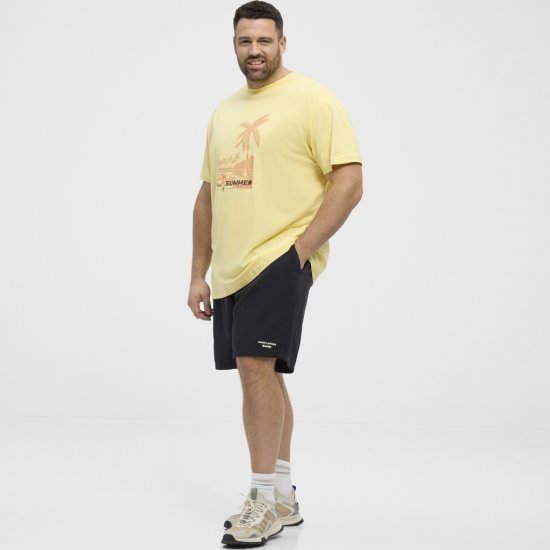 North Latitude T-Shirt Printed Yellow - Trička - Trička nadměrné velikosti - 2XL-14XL