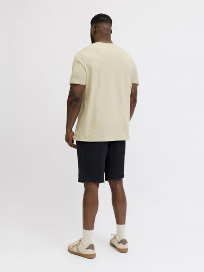 Jack & Jones Blaneo Short Sleeve T-shirt Beige - Trička - Trička nadměrné velikosti - 2XL-14XL